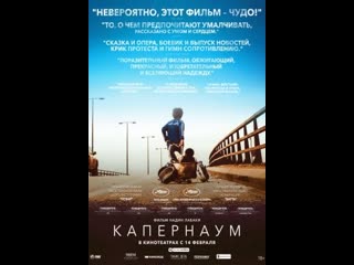 capernaum film 2018