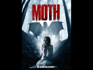 moth (2016)