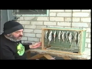 how to dry fish and protect from flies ...