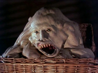 creature in a basket / basket case